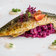 Mackerel Main Dish – Rose Indienne